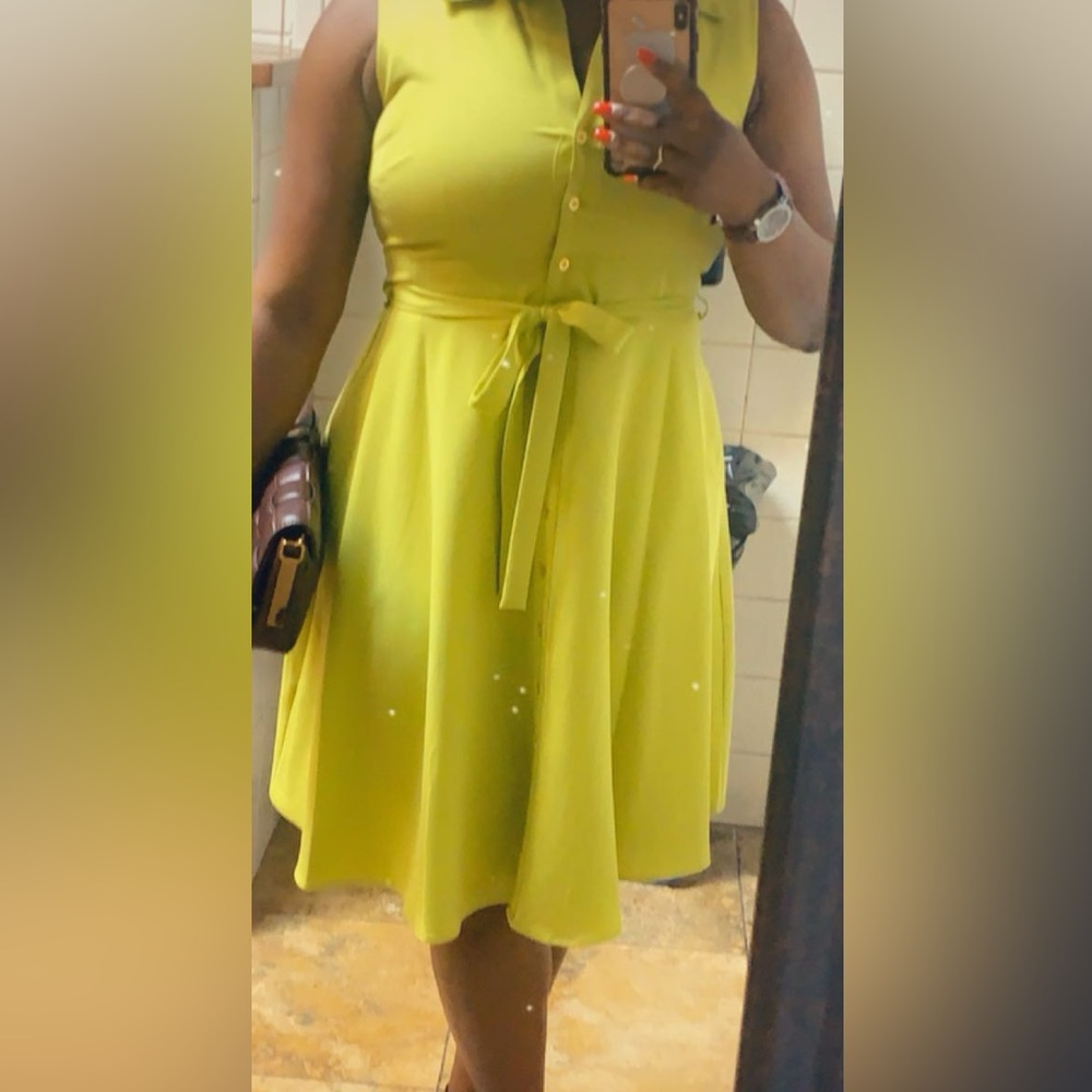 Elegant Greenish Yellow Women's Dress